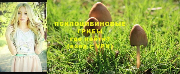 тгк Белокуриха