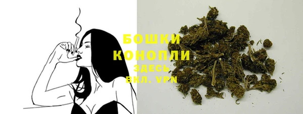 тгк Белокуриха